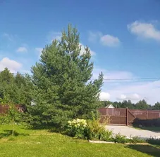 Продам дом 100.0 м² на участке 11.0 сот этажей 2 район Кингисеппский садовое некоммерческое товарищество Корвет на Купле улица Гатчинская 9 Нежновское с/пос