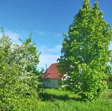 Продам дом 70.0 м² на участке 10.0 сот этажей 2 район Кингисеппский садовое некоммерческое товарищество Корвет на Купле улица Гатчинская 9 Нежновское с/пос